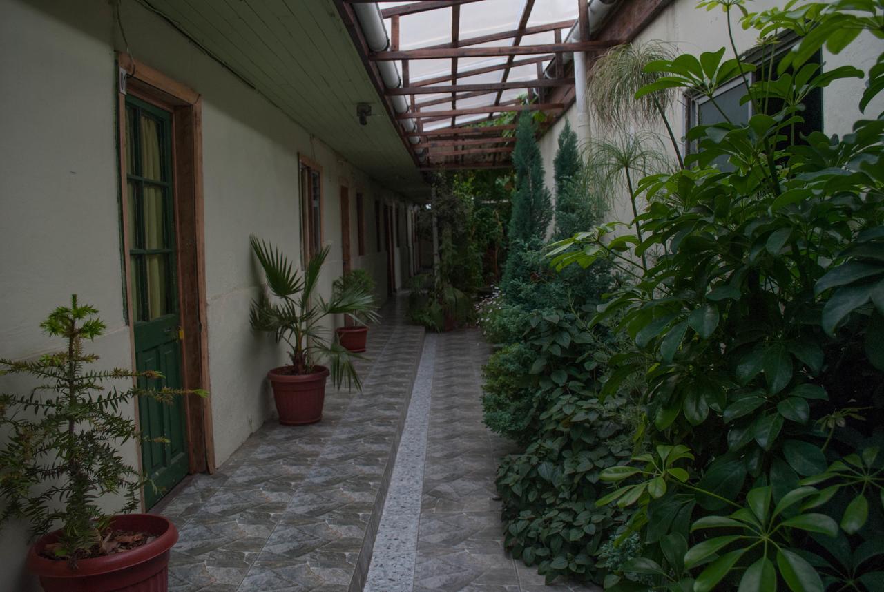 Hostel 1760 Talca  Exterior foto